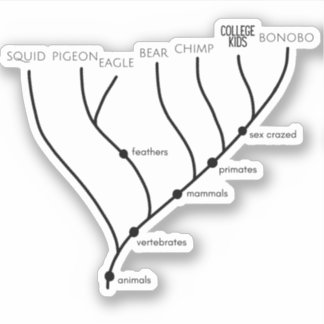 Stickers en vinyle de 3 po x 3 po