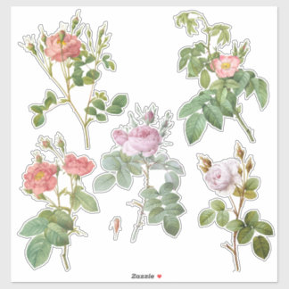 Stickers en vinyle de Rose botanique vintage sur m