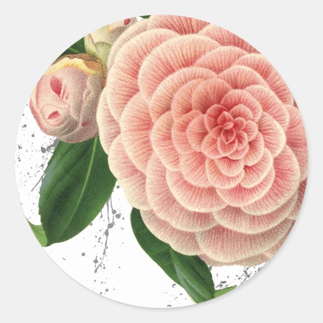 Stickers Enveloppe Camellia rose (Devant)