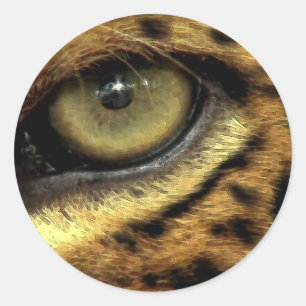 Stickers Espèces de léopard en voie de disparition