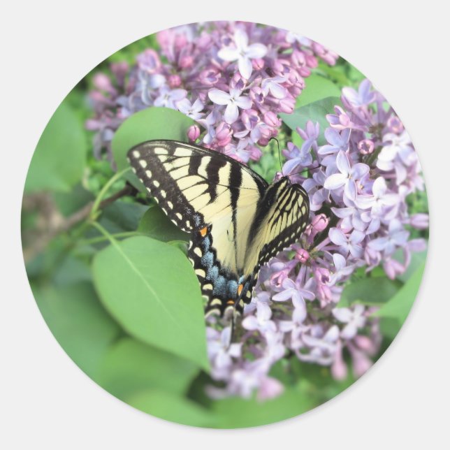 Stickers - ET Swallowtail on Lilac (Front)
