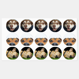 Stickers/etiquetas con imagenes de perritos