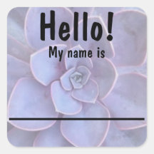Stickers étiquette Nom Succulent