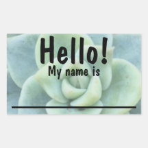 Stickers étiquette Nom Succulent Vert