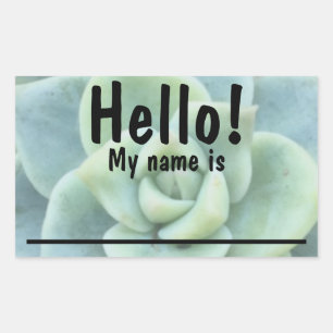 Stickers étiquette Nom Succulent Vert