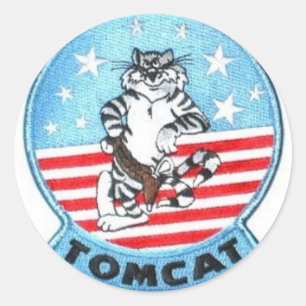 STICKERS F-14 TOMCAT JET FIGHTER