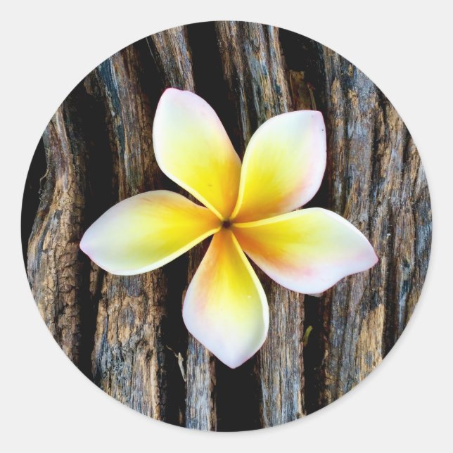 Stickers Faire-part de mariage Hawaii Plumeria (Devant)