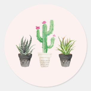 Stickers Favoriser les cactus Succulents du désert