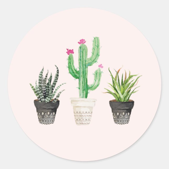 Stickers Favoriser les cactus Succulents du désert (Devant)