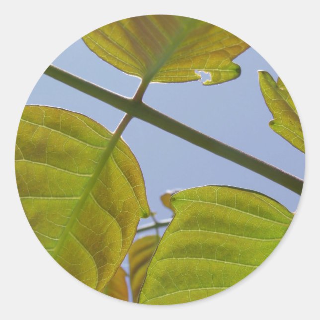 Stickers Feuille (Devant)