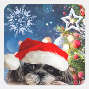 Stickers fille père Noël Shih Tzu