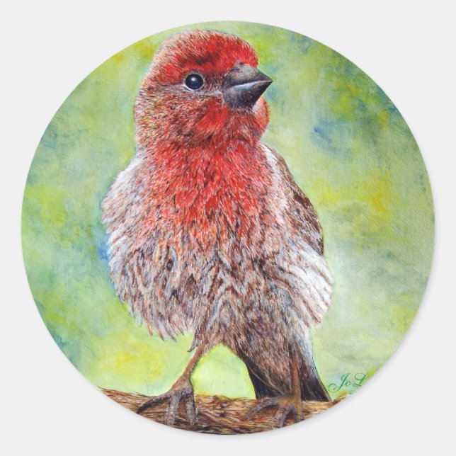 Stickers Finch (Devant)