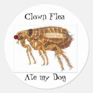 stickers Flea clown