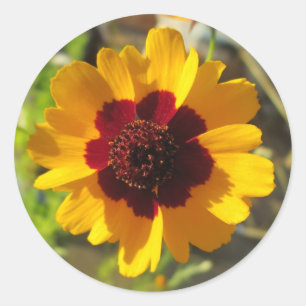 Stickers - Fleur de couverture
