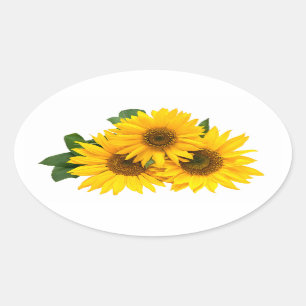 Stickers Fleur de tournesol Jaune Floral