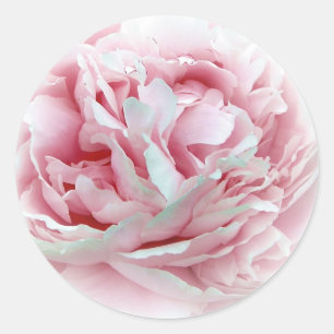 Stickers Fleur Mariage