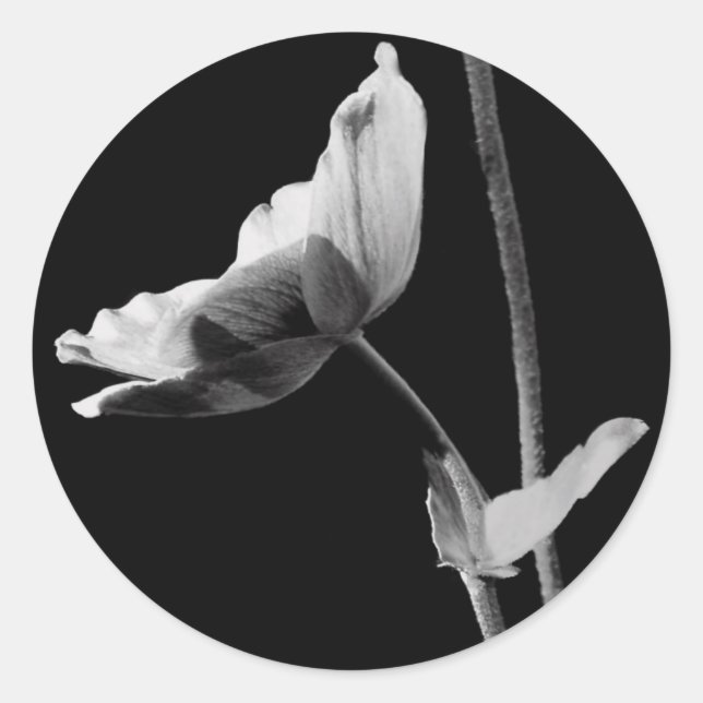 Stickers Fleur Noir et Blanc (Devant)