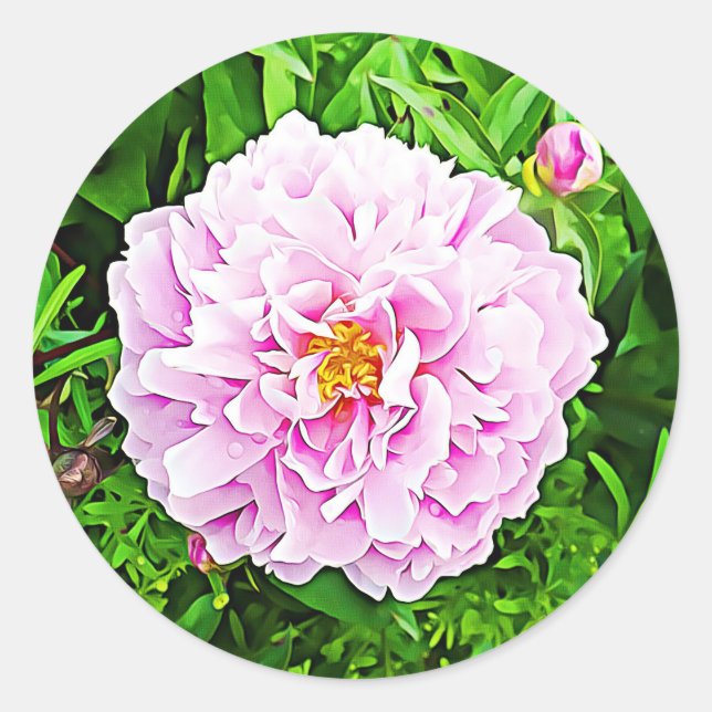 Stickers Floral Peonie rose (Devant)