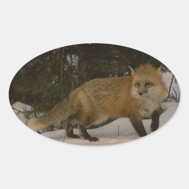 Stickers for you to create your own project- a Fox (Front)