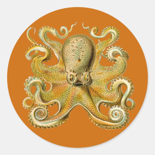 Stickers Gamochonia (Devant)