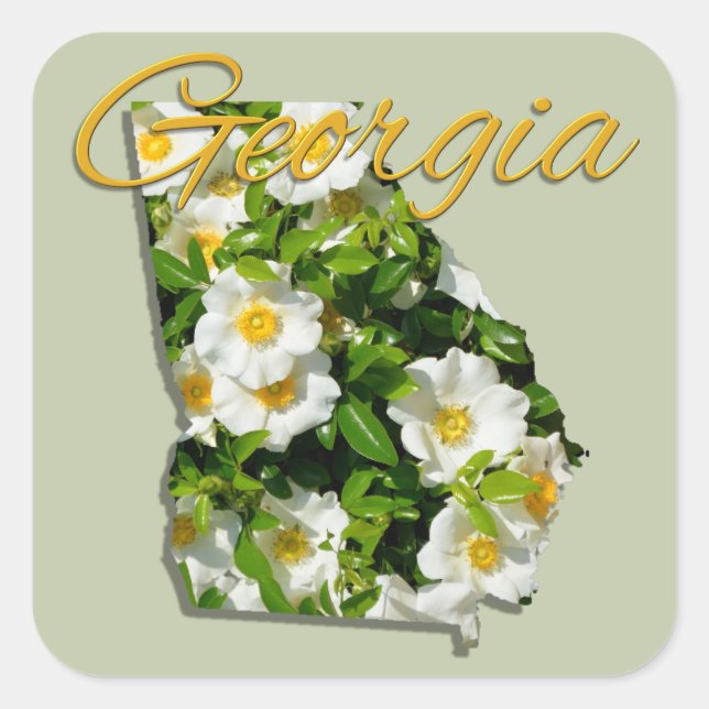Stickers - GEORGIE (Devant)