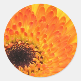 Stickers Gerber Jaune