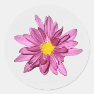 Stickers Gerbera violet clair