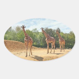 Stickers Giraffes