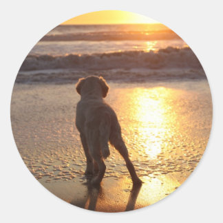Stickers Golden Retriever