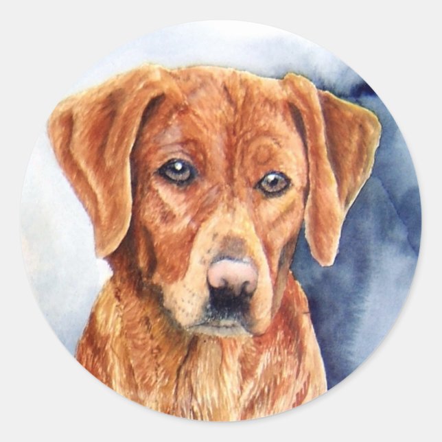 Stickers Golden Retriever (Devant)