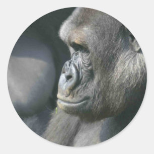 Stickers Gorilla de montagne