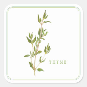 Stickers grand Carré FRAIS THYME