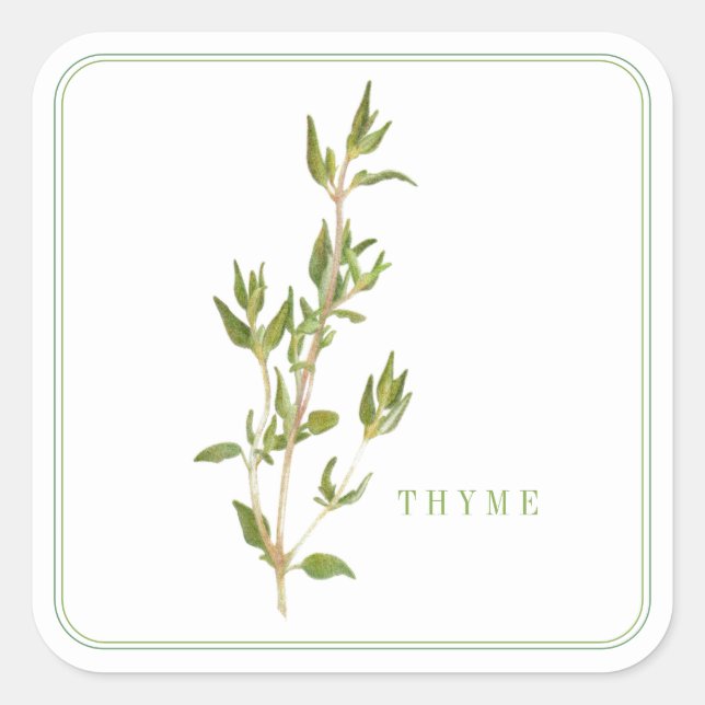 Stickers grand Carré FRAIS THYME (Devant)