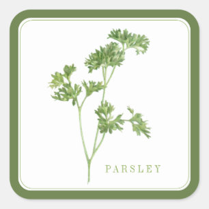 Stickers grand Carré PARSLEY FRAIS - Vert