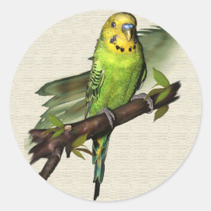 Stickers Green Budgie