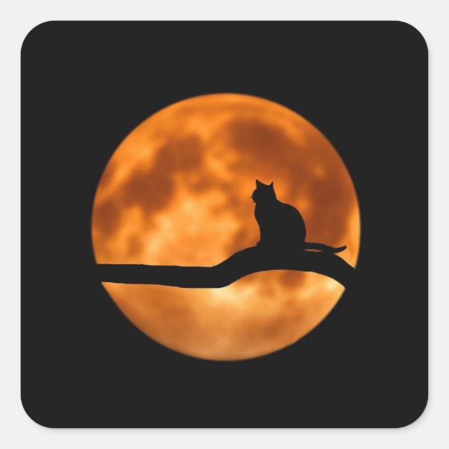 Stickers Halloween Chat Noir Orange Harvest Moon (Devant)