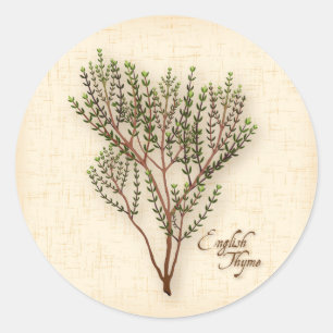 Stickers Herbe de thym anglais
