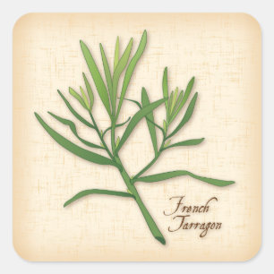 Stickers Herbe Tarragone