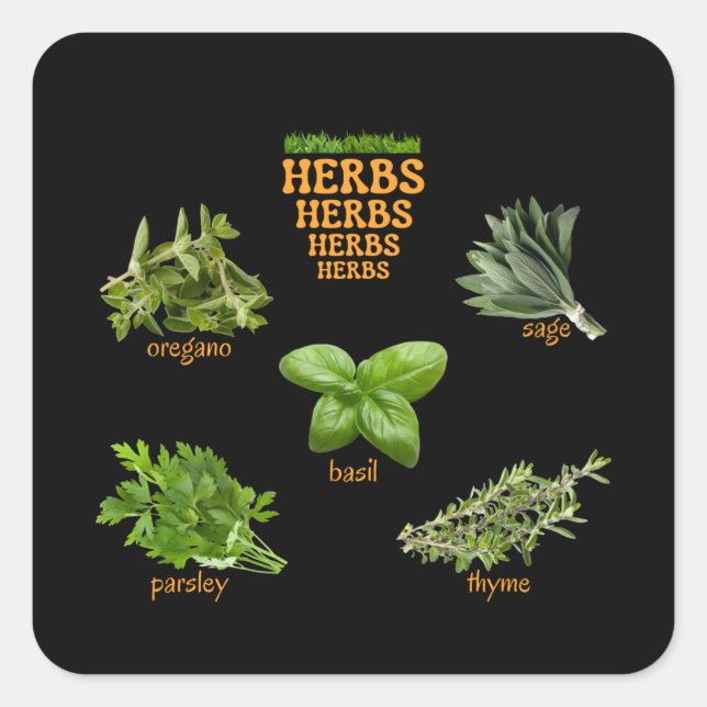 Stickers Herbes Oregano Basil Thyme (Devant)