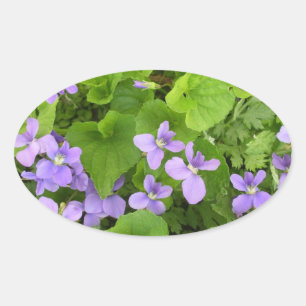 Stickers - Herbes Violets
