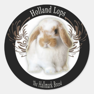 Stickers Holland Lop