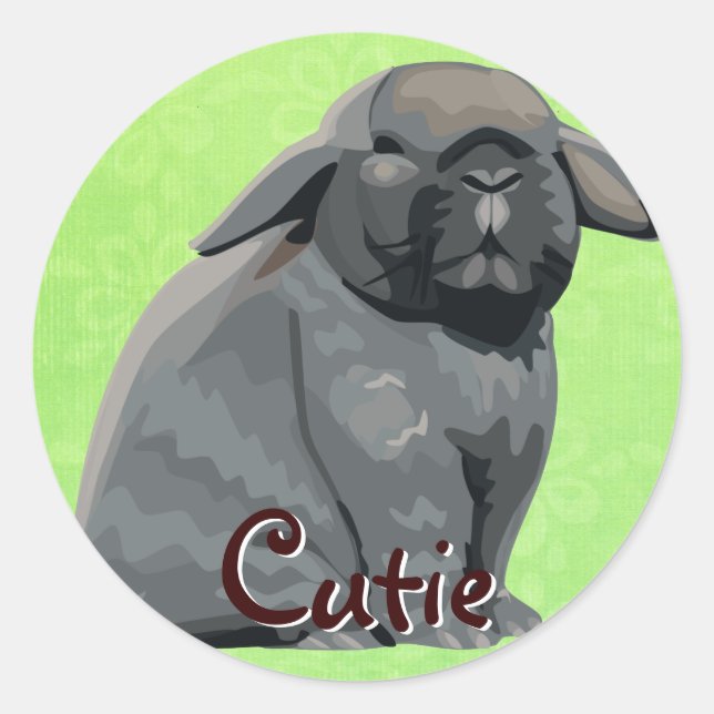 Stickers Holland Lop (Devant)