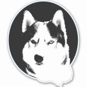 Stickers Husky Bi-Eye Husky Malamute décalés