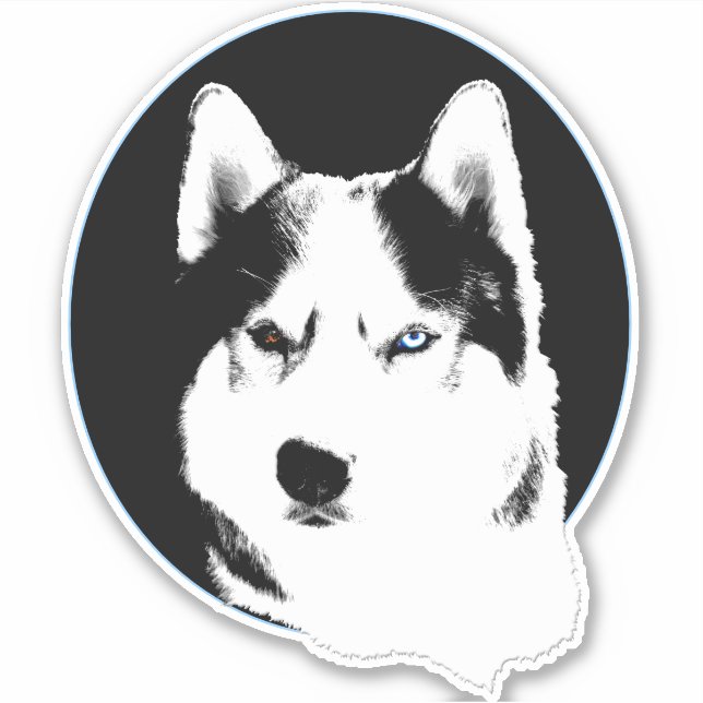 Stickers Husky Bi-Eye Husky Malamute décalés (Devant)