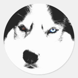 Stickers Husky Siberian Husky Stickers Malamute