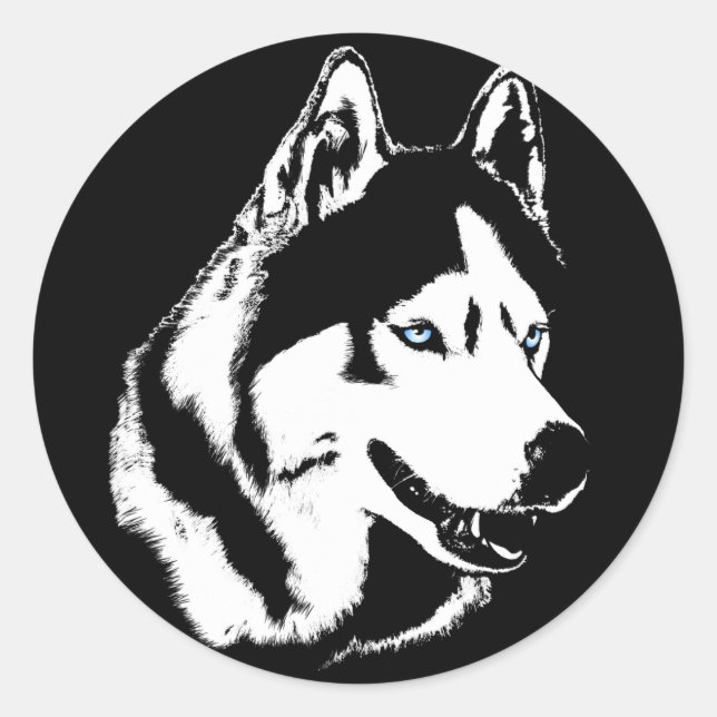 Stickers Husky Siberian Husky Stickers Malamute (Devant)