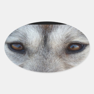 Stickers Husky Siberian Husky Wolf Stickers