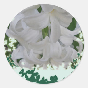 Stickers Hyacinths blancs
