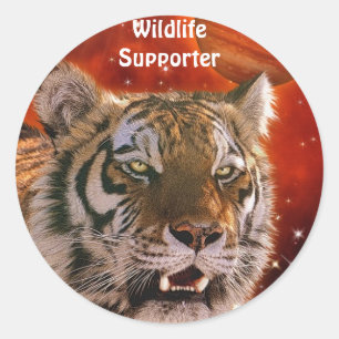 Stickers Imaginaire de gros félins Amur Tiger & Ju