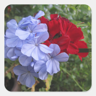 Stickers Invitation Fleurs bleues et rouges